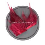 پر خروس قرمز